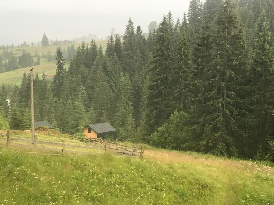 Шале Dereva Yablunytsya Exterior photo